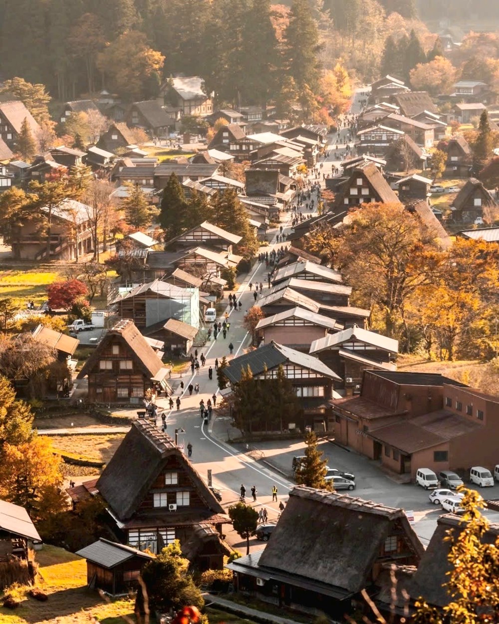 Những chuyển động mới và vị thế đang lên của Việt Nam - ảnh 2