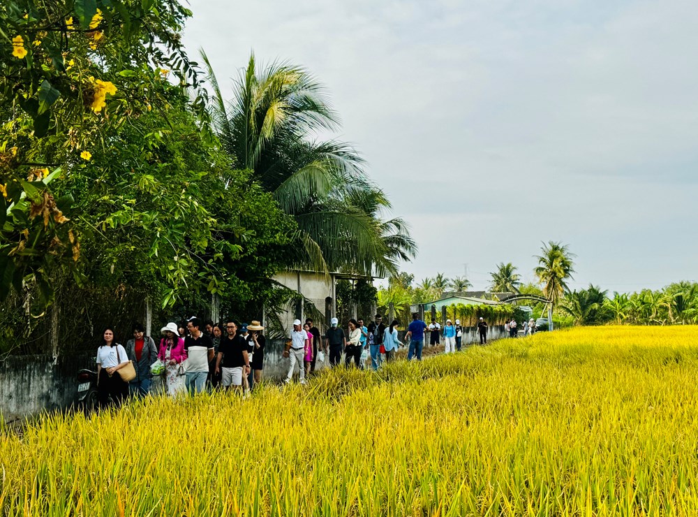 “Đánh thức” du lịch làng nghề ở Nam Bộ - ảnh 12