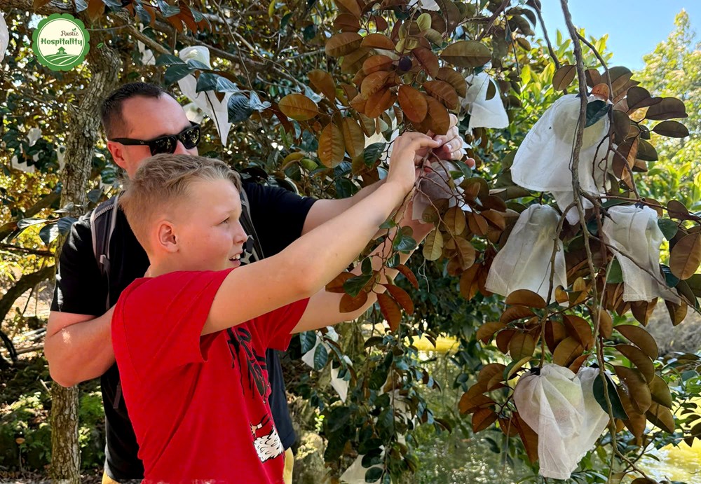 Du lịch Việt Nam sẽ đón vị khách quốc tế thứ 20 triệu tại Phú Quốc - ảnh 2