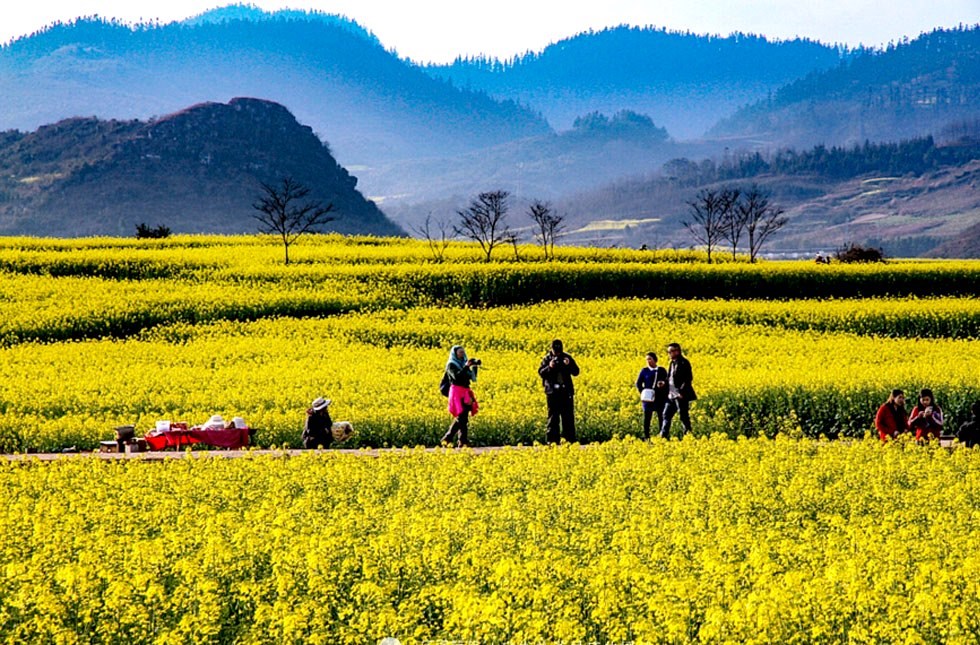 Dòng chảy văn minh từ “mái nhà thế giới” - ảnh 2