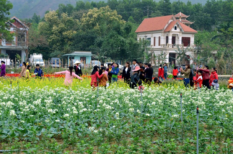 Không gian sau hợp nhất - đòn bẩy mới cho phát triển du lịch Quảng La - ảnh 2