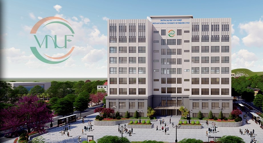 Yêu cầu Trường Đại học Lâm nghiệp dừng tổ chức thi cấp chứng chỉ nghiệp vụ du lịch - ảnh 1