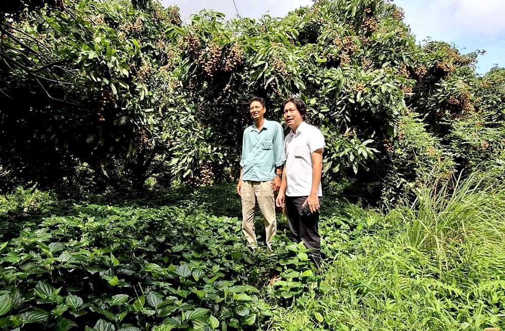 Thanh niên và sự chuyển dịch ý thức môi trường ở nông thôn Việt Nam - ảnh 1