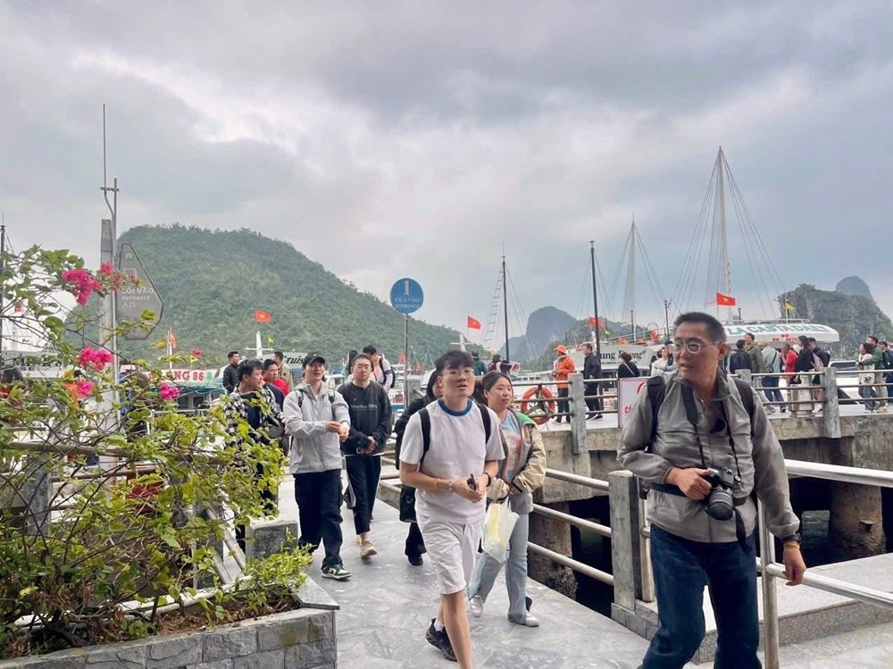 4 ngày Tết dương lịch 2026, du lịch Việt Nam đón 3,5 triệu lượt khách - ảnh 7