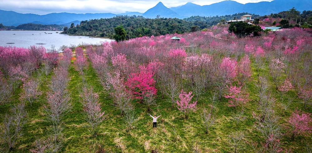Điểm hẹn văn hóa - du lịch đầu xuân của Điện Biên - ảnh 1