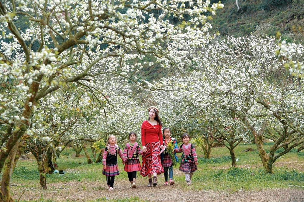 Mộc Châu - Hẹn ước mùa hoa - ảnh 3