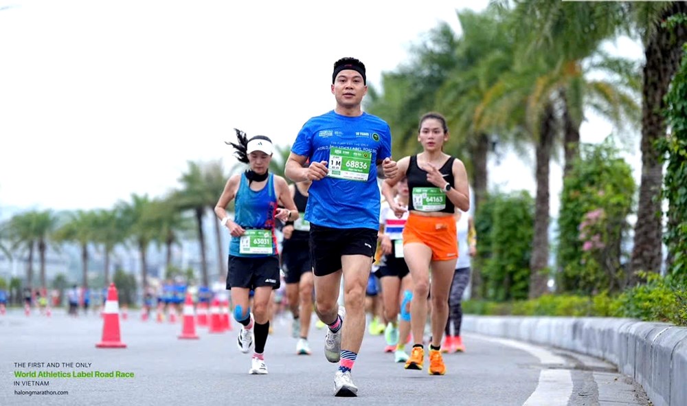 Du lịch thể thao và vai trò dẫn dắt của Quảng Ninh trong hệ sinh thái quốc gia - ảnh 2