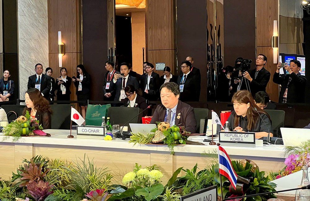 Hội nghị Cơ quan Du lịch ASEAN+3 lần thứ 48: Tăng năng lực cạnh tranh khu vực - ảnh 1