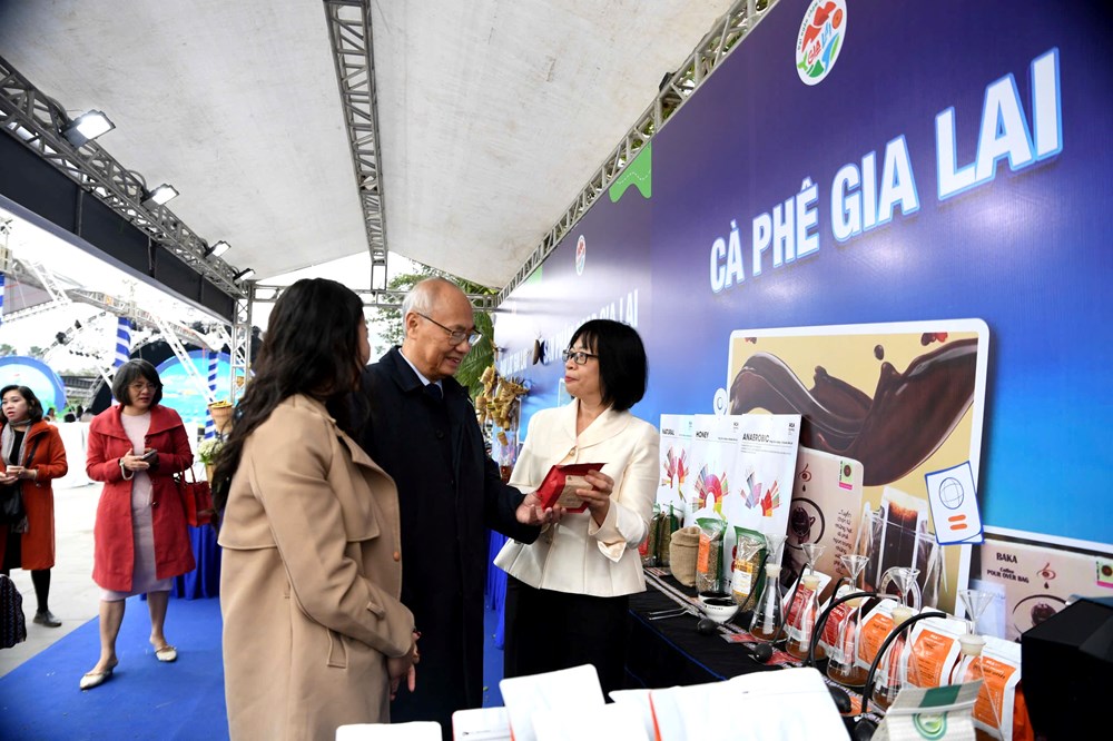 Đặc sắc “Ngày Gia Lai tại Hà Nội“ - ảnh 9