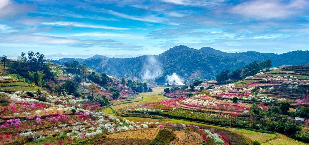 Sắc đào xứ Lạng - kết nối muôn phương - ảnh 2