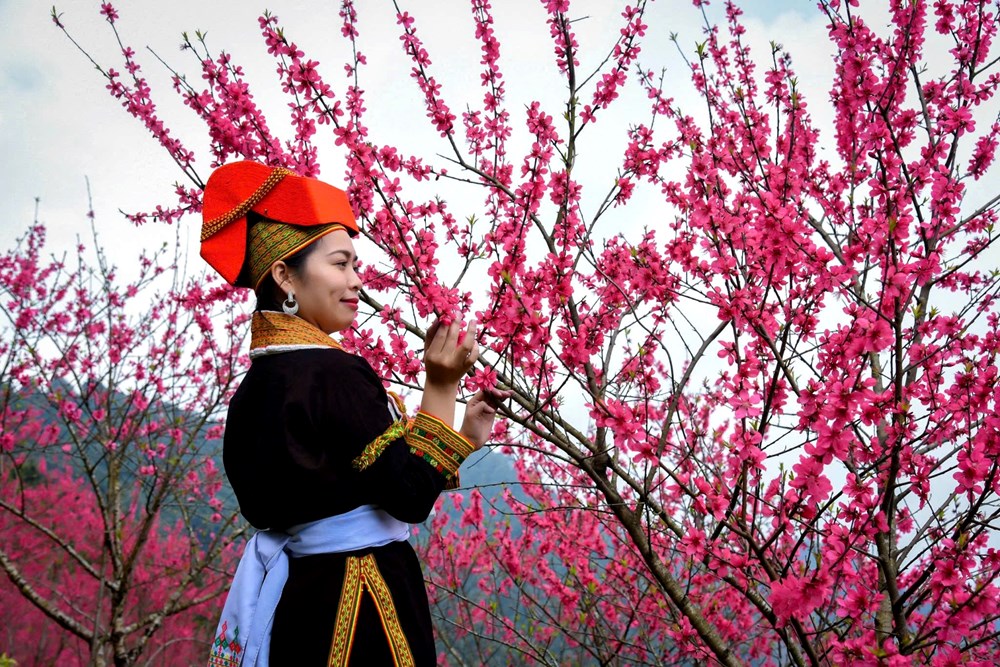 Sắc đào xứ Lạng - kết nối muôn phương - ảnh 5