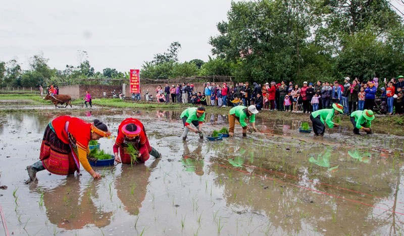 336 lễ hội đầu xuân 2026 ở Thái Nguyên - ảnh 2