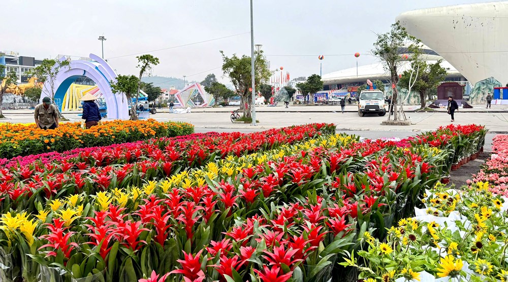 Xuân rực rỡ bên kỳ quan Vịnh Hạ Long - ảnh 3