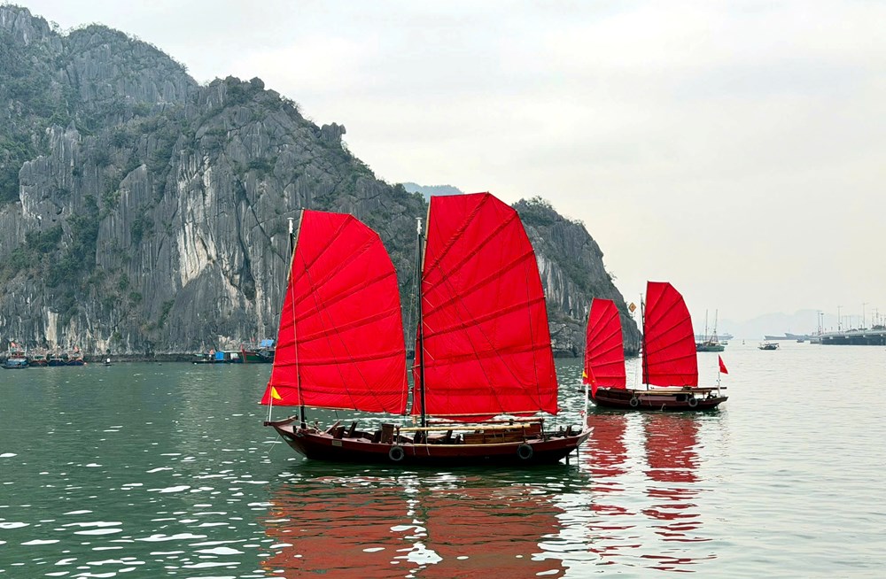 “Cánh buồm đỏ thắm” trên vịnh Hạ Long “gây sốt” - ảnh 1