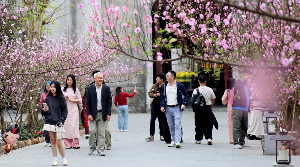 Quảng Ninh bứt tốc du lịch Tết: 7 ngày đón gần 800.000 lượt khách - ảnh 1