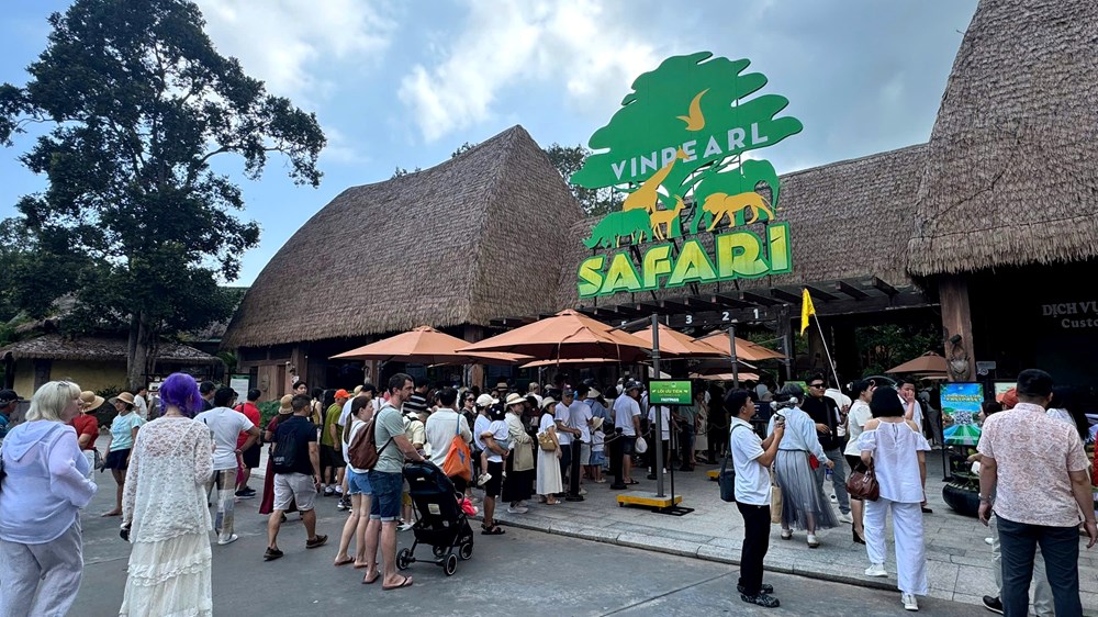 Hơn 55.000 combo vé máy bay - khách sạn giá rẻ bất ngờ tung ra thị trường - ảnh 5