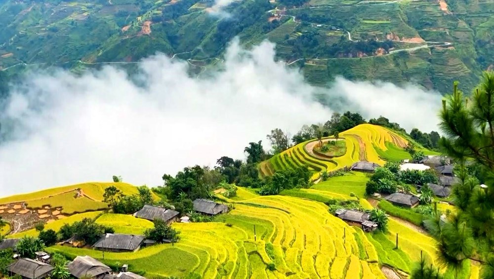 51 điểm đến đẹp nhất thế giới 2026 gọi tên Hà Giang và Hội An - ảnh 1