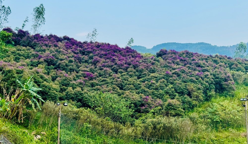 Hát dưới ánh trăng tan ở A Lưới - ảnh 6