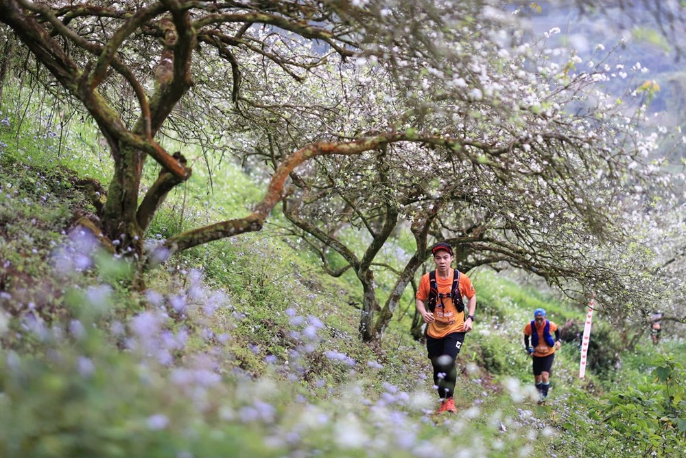 Cần thiết lập Văn phòng Xúc tiến du lịch Việt Nam ở nước ngoài - ảnh 5