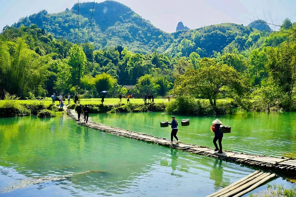Định vị thương hiệu quốc tế để phát triển du lịch bền vững - ảnh 2