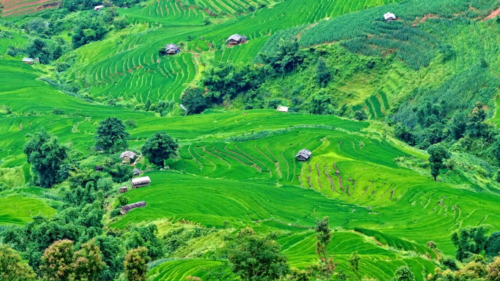 Tà Xùa và bài toán phát triển điểm đến bền vững - ảnh 4