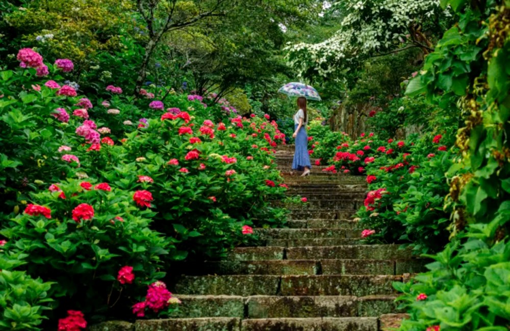 Okayama - điểm đến mới trên bản đồ du lịch Nhật Bản của khách Việt - ảnh 3