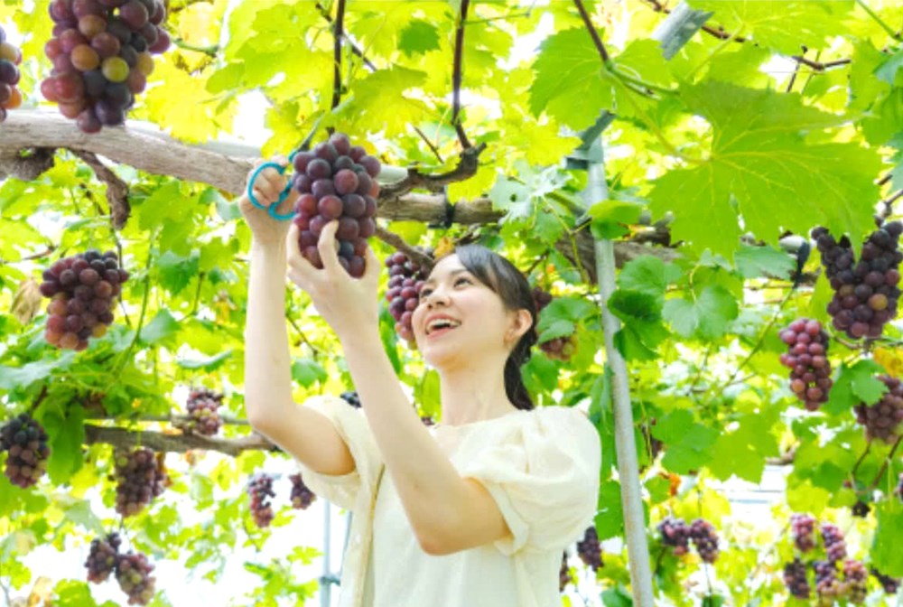 Okayama - điểm đến mới trên bản đồ du lịch Nhật Bản của khách Việt - ảnh 4