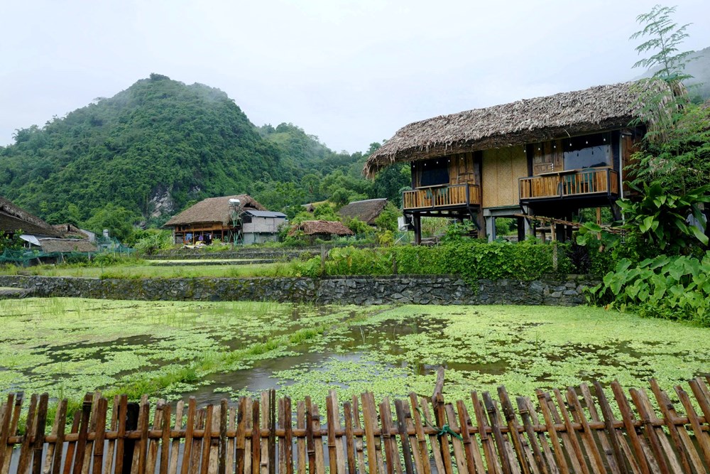Bài 1: Thôn Tha - bình yên dưới những tầng mây - ảnh 5