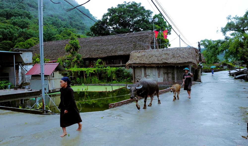 Bài 1: Thôn Tha - bình yên dưới những tầng mây - ảnh 3