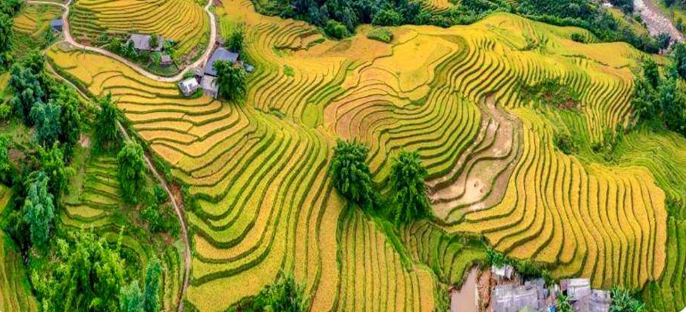 Lào Cai: Cho vay ưu đãi để khơi thông nguồn lực phát triển du lịch cộng đồng - ảnh 1