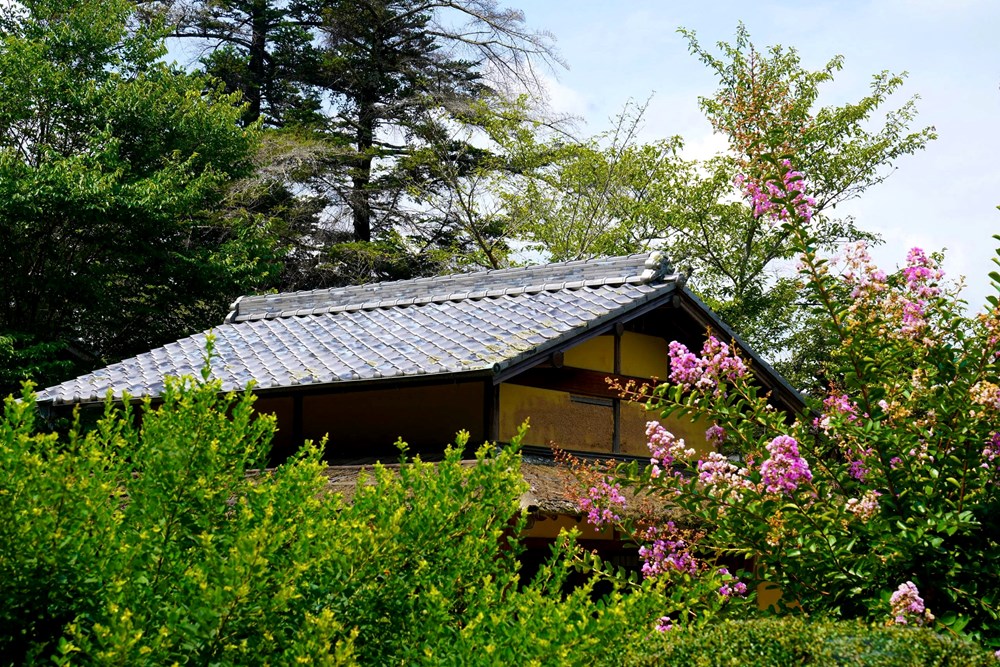Thăm Korakuen - một trong ba khu vườn đẹp nhất Nhật Bản - ảnh 7