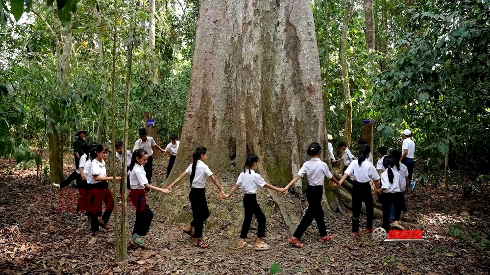 “Nguyện ước giữa đại ngàn” của những người lính già - ảnh 3