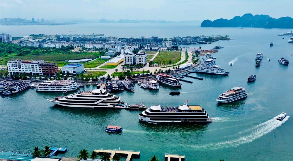 Quảng Ninh: Một kỳ nghỉ đặc biệt trong không gian thành phố mới - ảnh 3