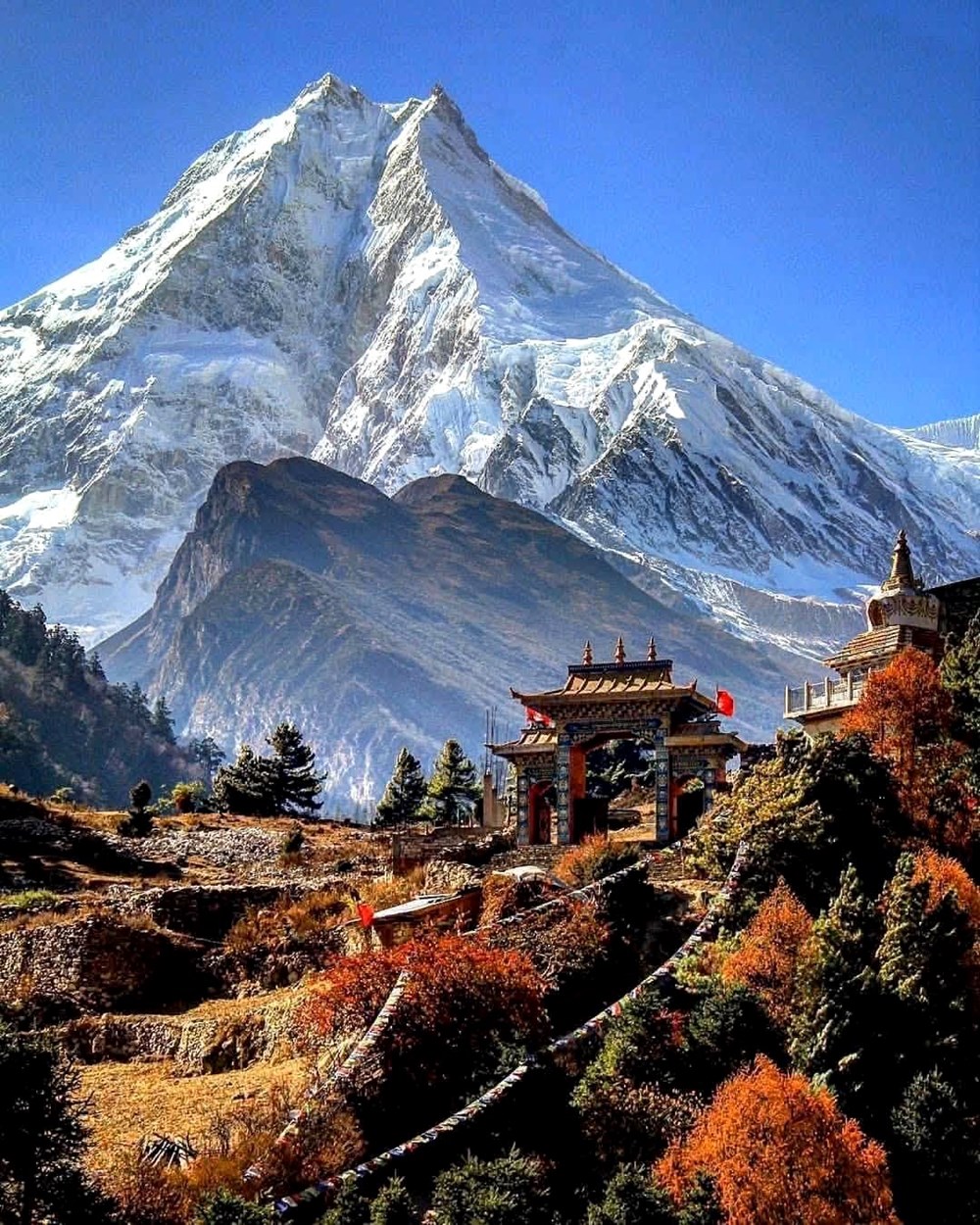 Nepal phát tín hiệu kêu gọi du khách trở lại sau thảm họa - ảnh 3