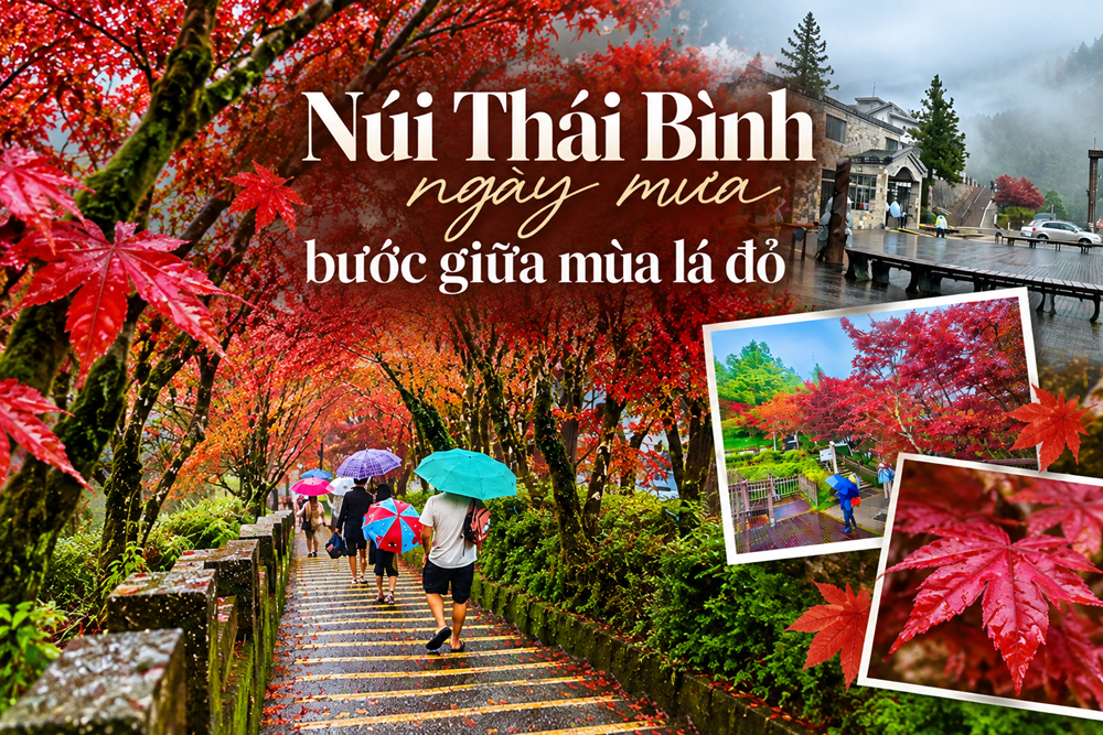 Núi Thái Bình ngày mưa, bước giữa mùa lá đỏ - ảnh 1