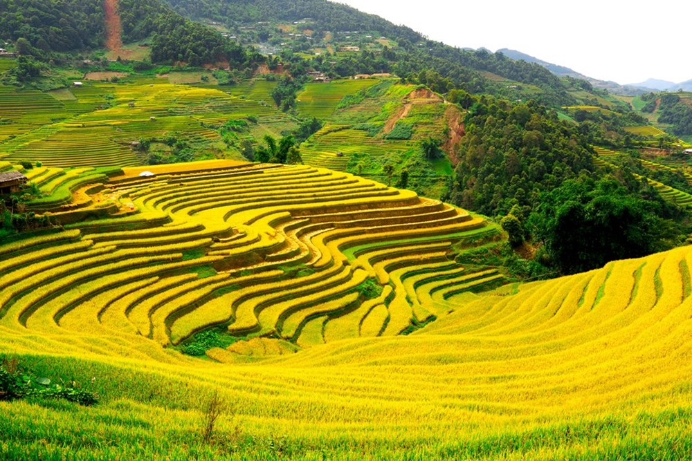 Sắc chàm Lao Chải và bài toán biến văn hóa thành sinh kế - ảnh 6