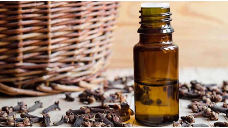 6 thứ khiến rắn vừa thấy là “cao chạy xa bay”, nhà nào cũng nên có - ảnh 1