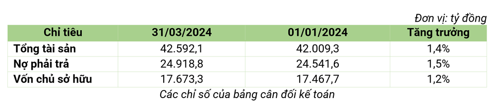 Bamboo Capital đạt doanh thu 985 tỷ đồng trong quý 1/2024, mảng năng lượng tái tạo đóng góp lớn - ảnh 3