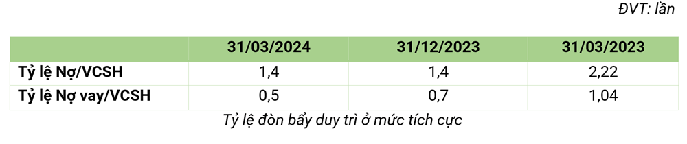 Bamboo Capital đạt doanh thu 985 tỷ đồng trong quý 1/2024, mảng năng lượng tái tạo đóng góp lớn - ảnh 4