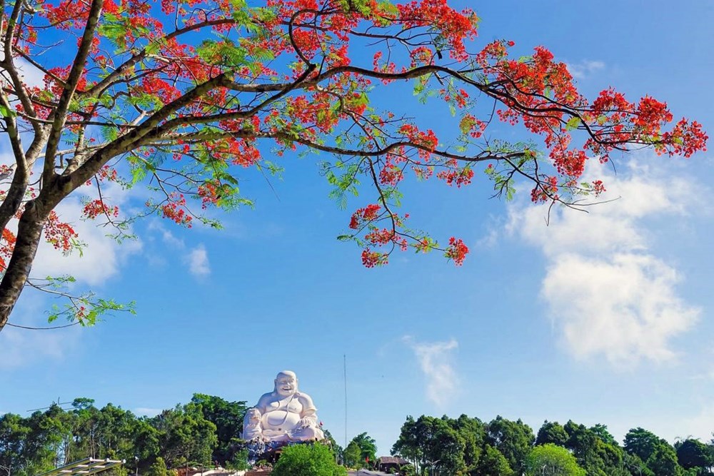 Hè về, Cấm Sơn rực rỡ sắc màu - ảnh 1