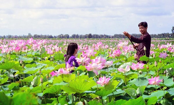Quảng bá bản sắc văn hóa vùng đất sen hồng - ảnh 2