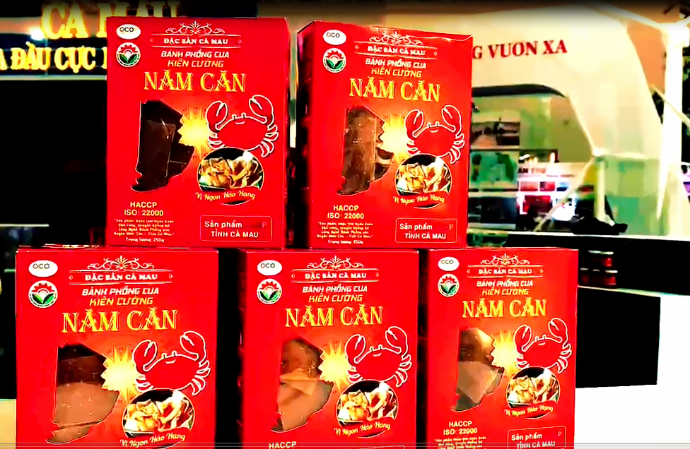Cà Mau sẵn sàng tỏa sáng tại ngày hội lớn của dân tộc - ảnh 2