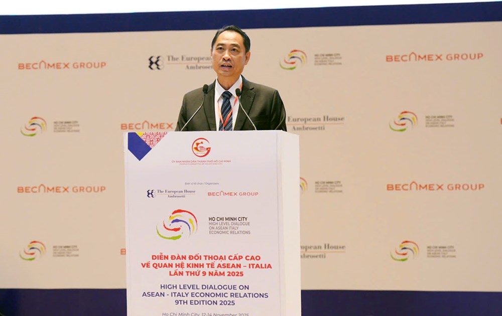 TP.HCM khẳng định vai trò kết nối vùng và trung tâm hợp tác quốc tế - ảnh 7