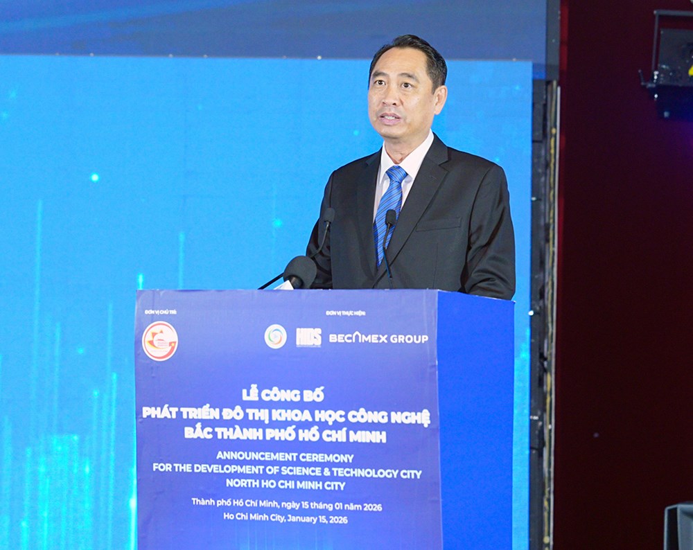 TP.HCM: Tận dụng tối đa cơ chế đặc thù cho cực tăng trưởng mới - ảnh 4