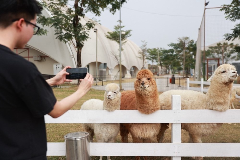 Khám phá điểm hẹn du Xuân “triệu view” tại TP.HCM - ảnh 3