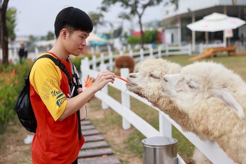 Khám phá điểm hẹn du Xuân “triệu view” tại TP.HCM - ảnh 4