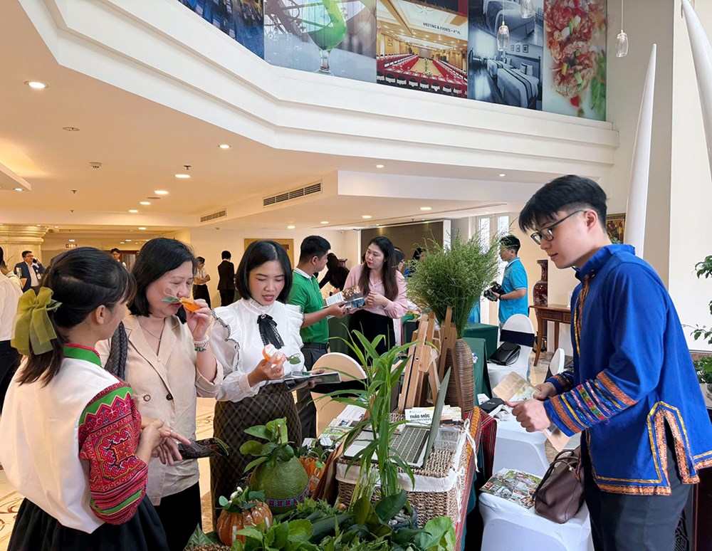 Để du lịch chữa lành thành “sức mạnh mềm” đặc trưng - ảnh 4