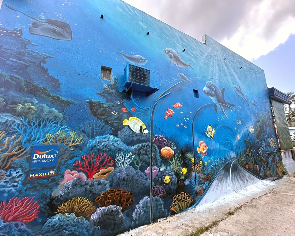 Bảo tồn hệ sinh thái biển tại đặc khu Lý Sơn - ảnh 4