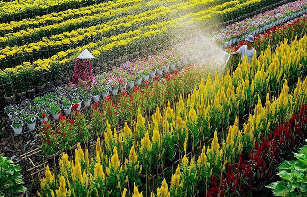 Đồng Tháp bảo tồn nghề truyền thống gắn phát triển du lịch nông nghiệp, làng nghề - ảnh 3