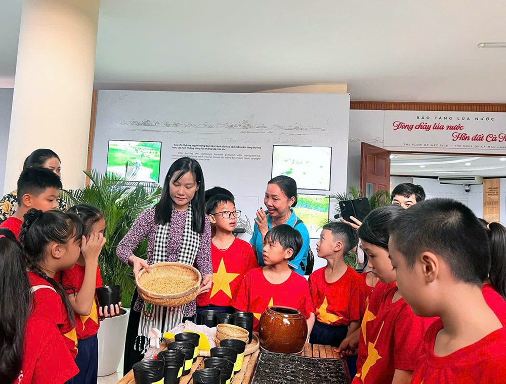 Cà Mau chú trọng xây dựng môi trường an toàn cho trẻ em phát triển toàn diện - ảnh 1